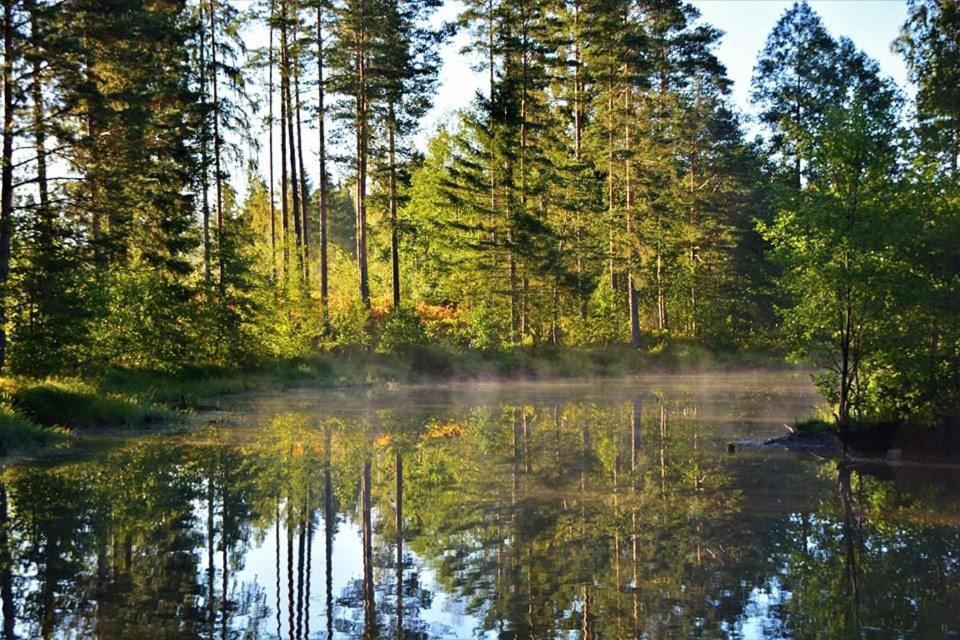 Viking House In The Tree! Jacuzzi, Sauna,Apkure! Lici  Екстер'єр фото